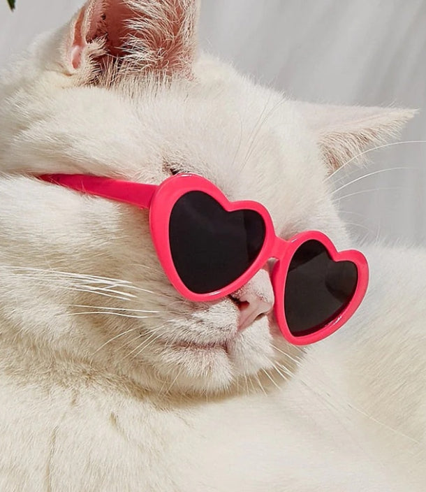 Heart Shape Pet Sunglasses