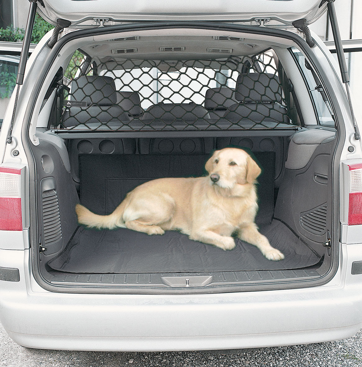 Trunk Isolation Pet Blocking Fence Net