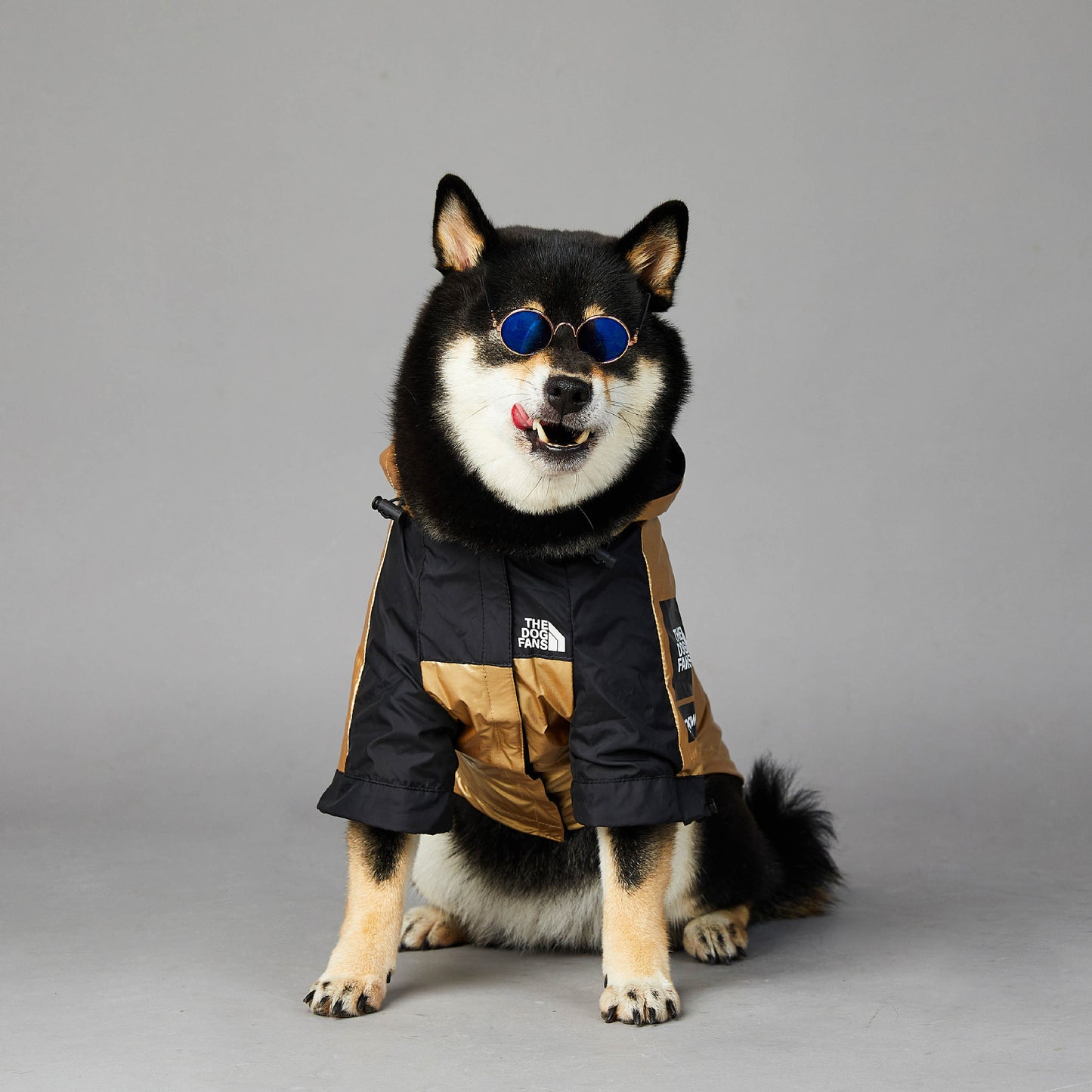 Winter Rainproof Dog Jacket