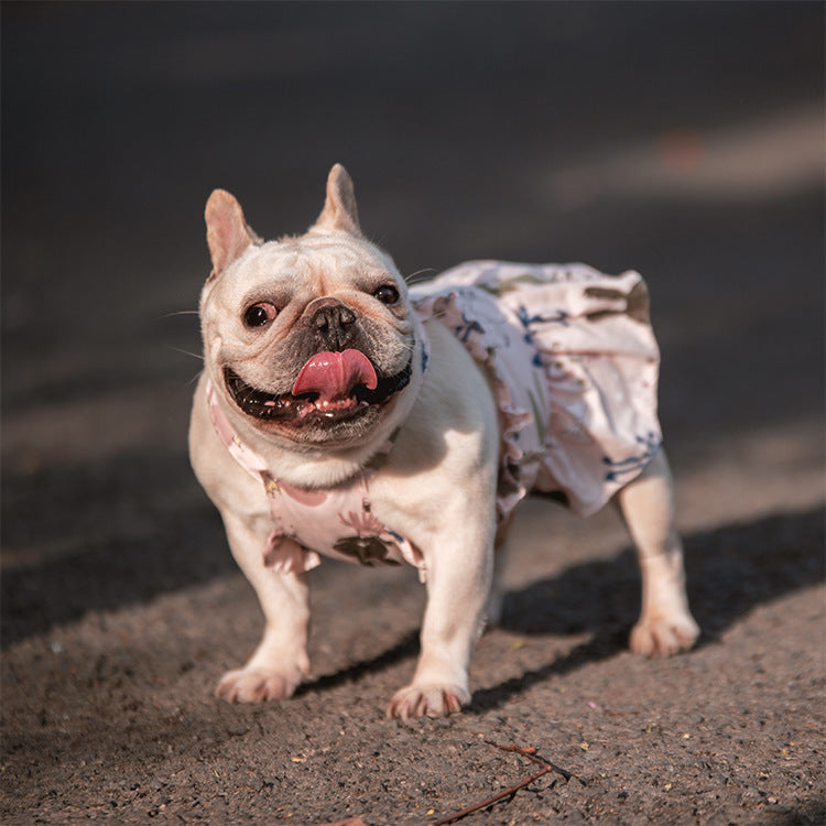 Small And Medium-sized Dogs Cats And Dogs Skirt