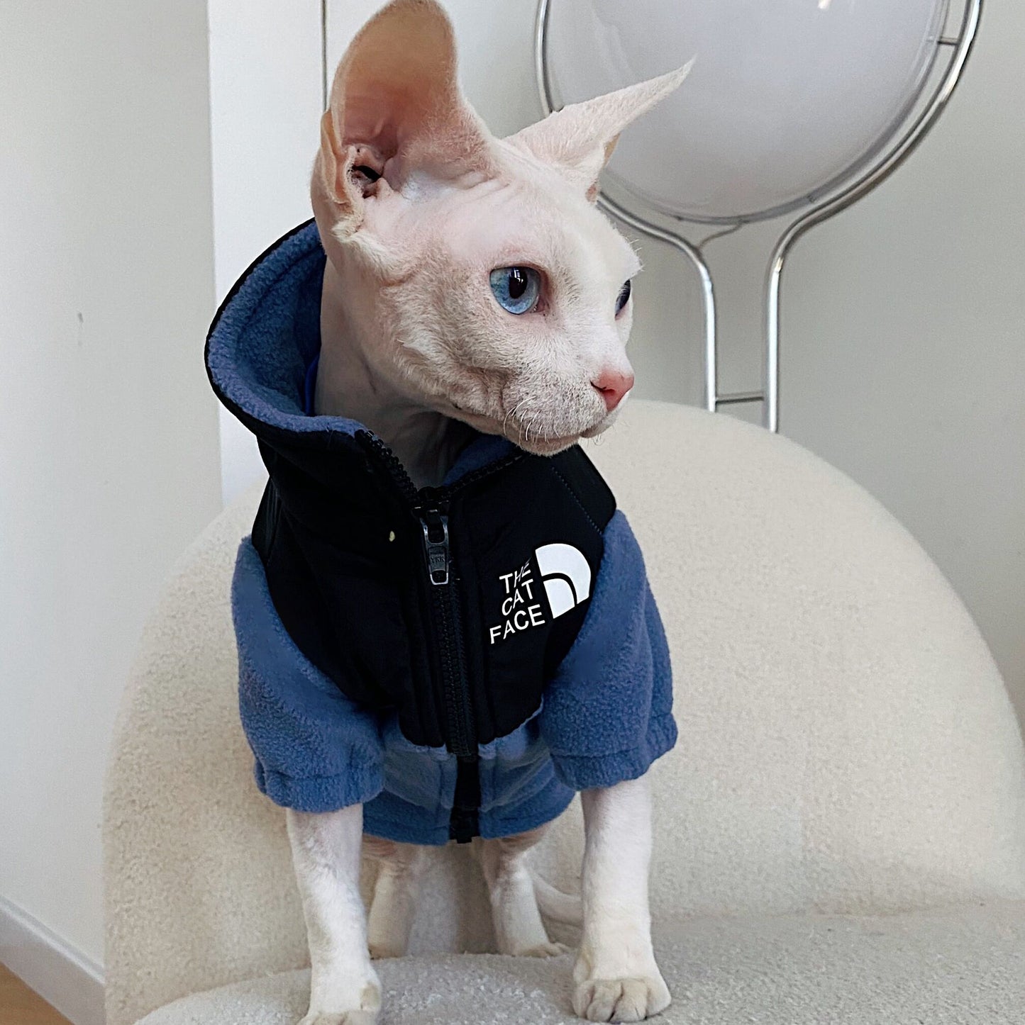 Warm Clothes Cat Jacket