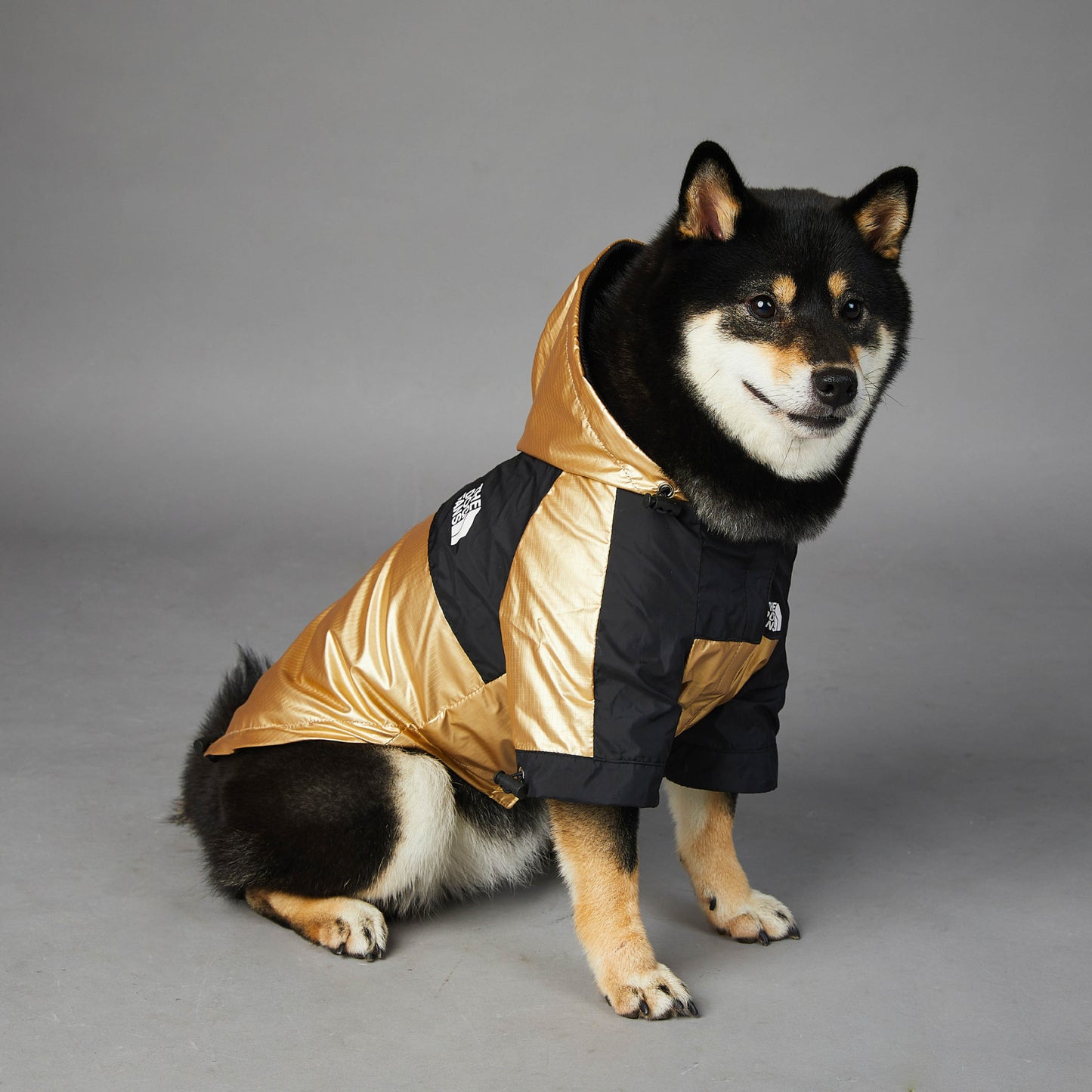 Winter Rainproof Dog Jacket