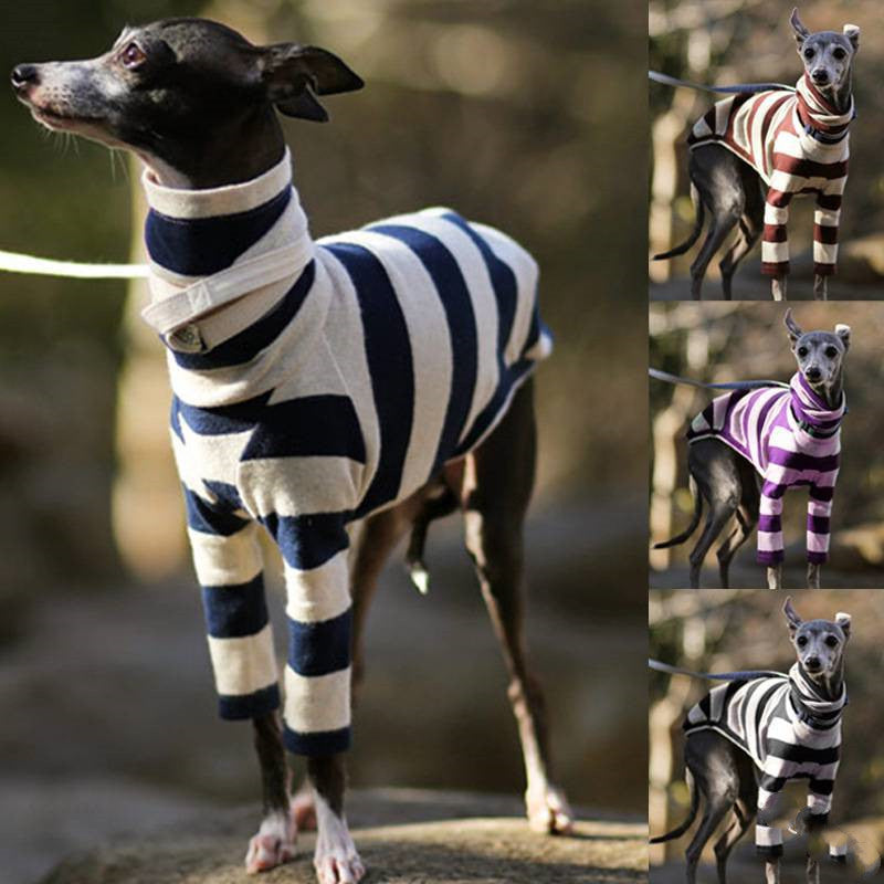 Striped Two-legged High Necked Dog Coat