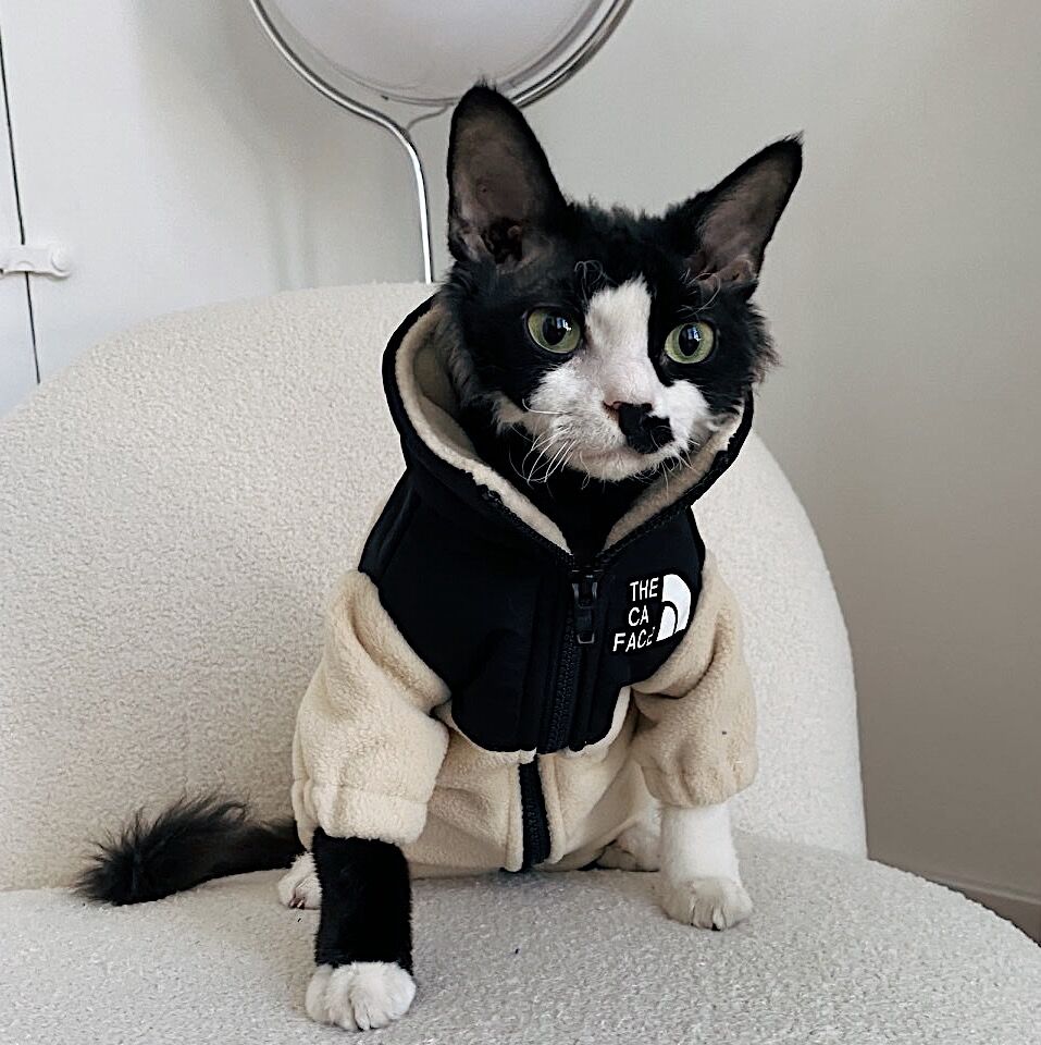 Warm Clothes Cat Jacket