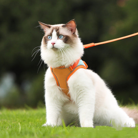 Reflective Cat Leash Harness Set