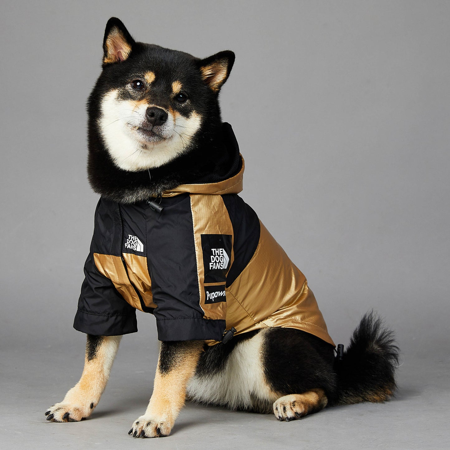 Winter Rainproof Dog Jacket