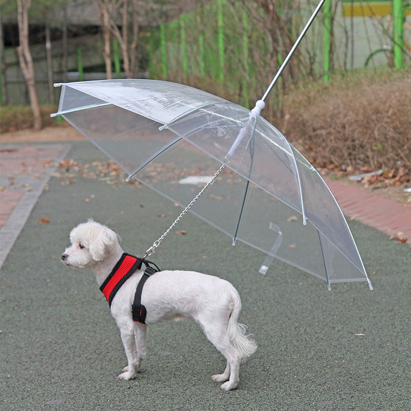 Walking Rain Umbrella Dog Leash