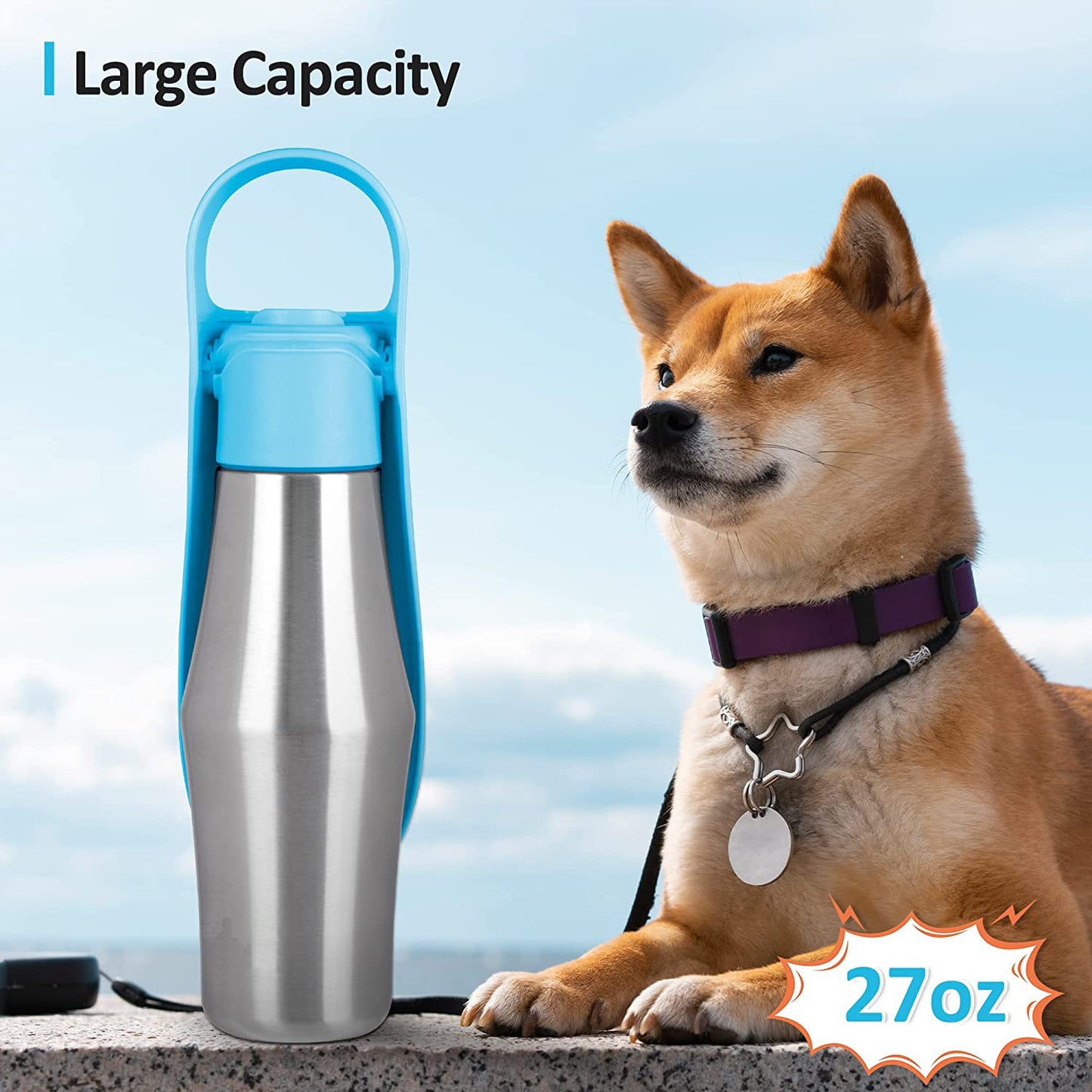 Silicone Leaf Design Dog Water Bottle