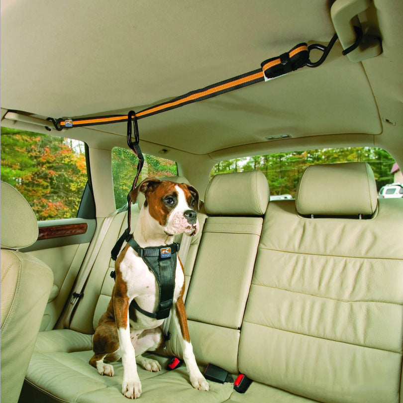 Dual-purpose Car Lanyard Safety Dog Belt