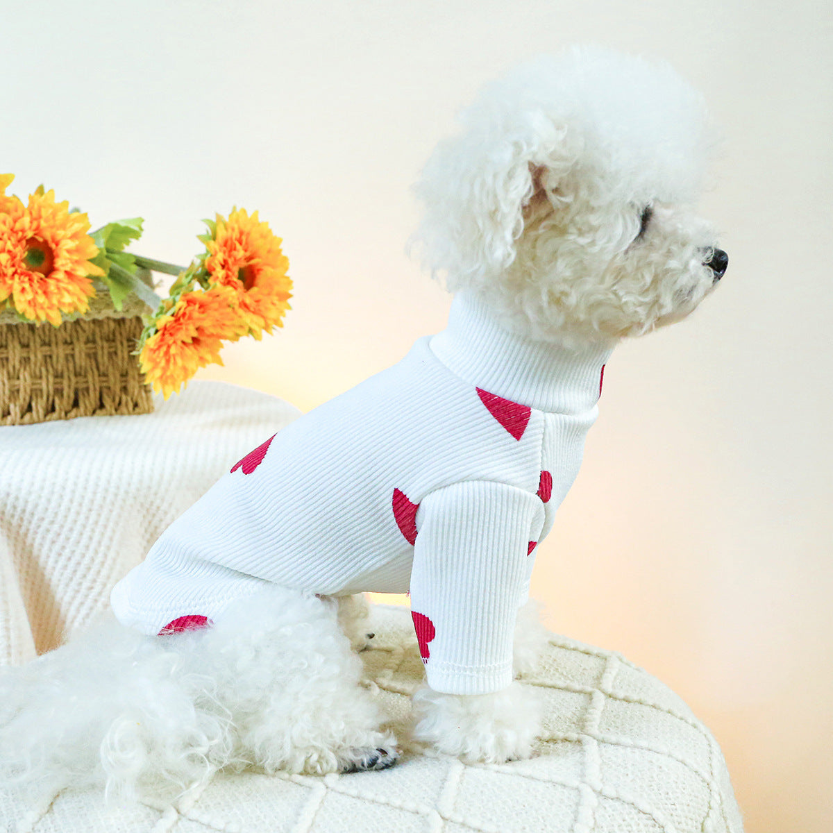 Cute Heart Pet Sweater