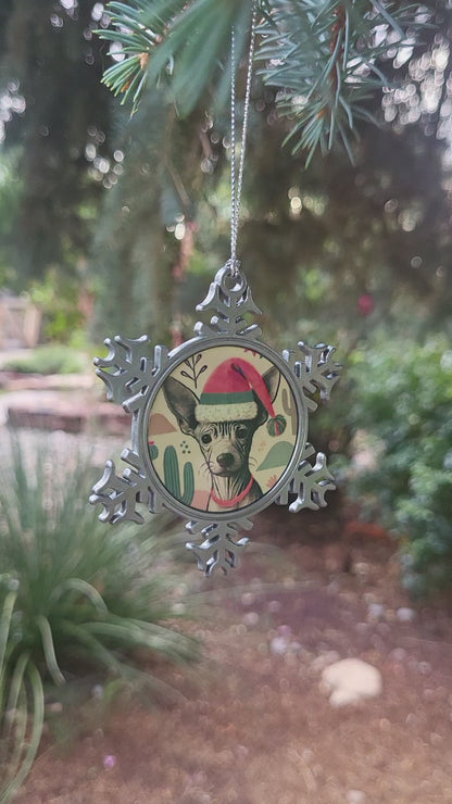 Starry Xolo Ornament